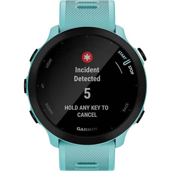 Смарт-часы Garmin Forerunner 55 Aqua, Цвет: Aqua, изображение 4 Смарт-часы Garmin Forerunner 55 Aqua, Цвет: Aqua, изображение 4