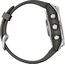 Смарт-часы Garmin Fēnix S7 Standard Edition Silver/Graphite, Версия: Standard, Размер корпуса : 42 мм, Цвет: Silver/Graphite, изображение 6