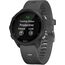 Смарт-часы Garmin Forerunner 245 Slate Gray, МУЗЫКА (легко загрузите на часы до 500 песен): Нет, Цвет: Slate Gray, изображение 2 Смарт-часы Garmin Forerunner 245 Slate Gray, МУЗЫКА (легко загрузите на часы до 500 песен): Нет, Цвет: Slate Gray, изображение 2