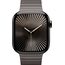 Apple Watch Series 10 | 42 мм | Link Bracelet Slate, Размер корпуса : 42 мм, Цвет: Slate, Размер ремешка : 150–200 мм, изображение 3 Apple Watch Series 10 | 42 мм | Link Bracelet Slate, Размер корпуса : 42 мм, Цвет: Slate, Размер ремешка : 150–200 мм, изображение 3